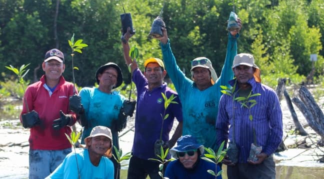 Community planting mangroves in the wetland