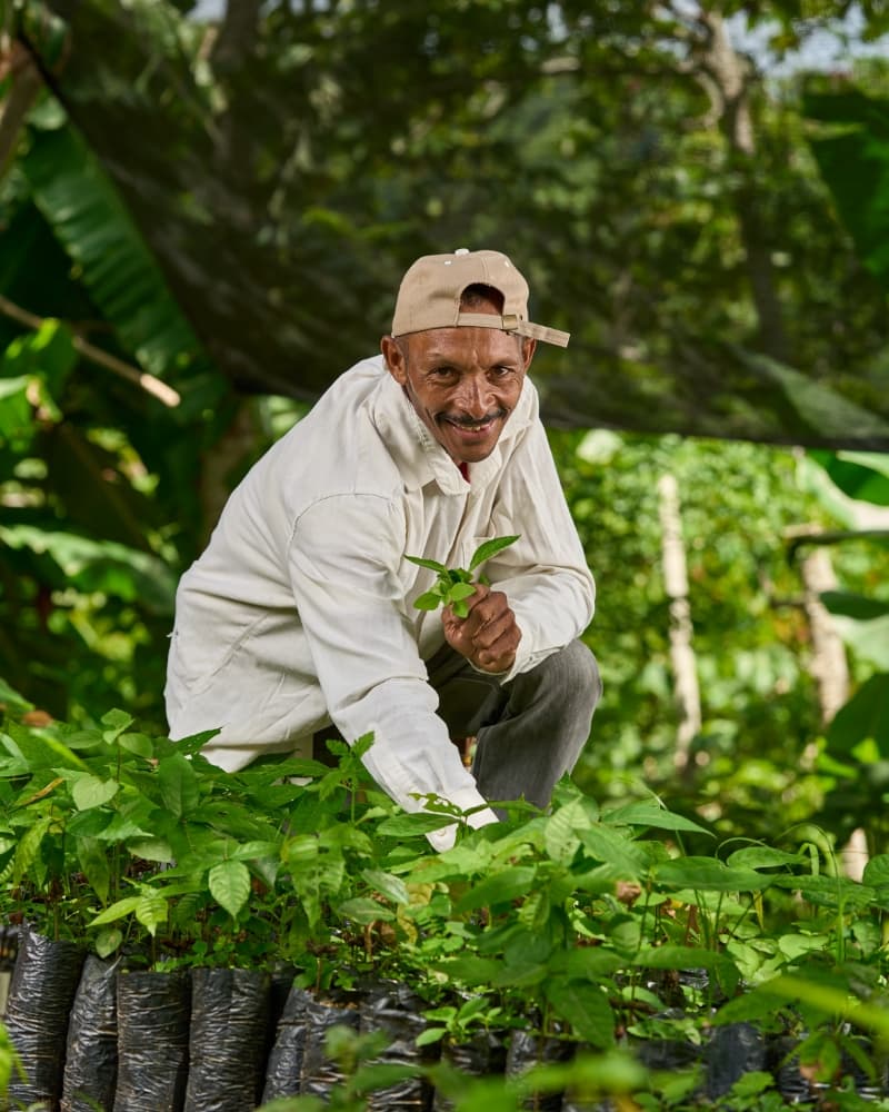 Farmer planting seedlings