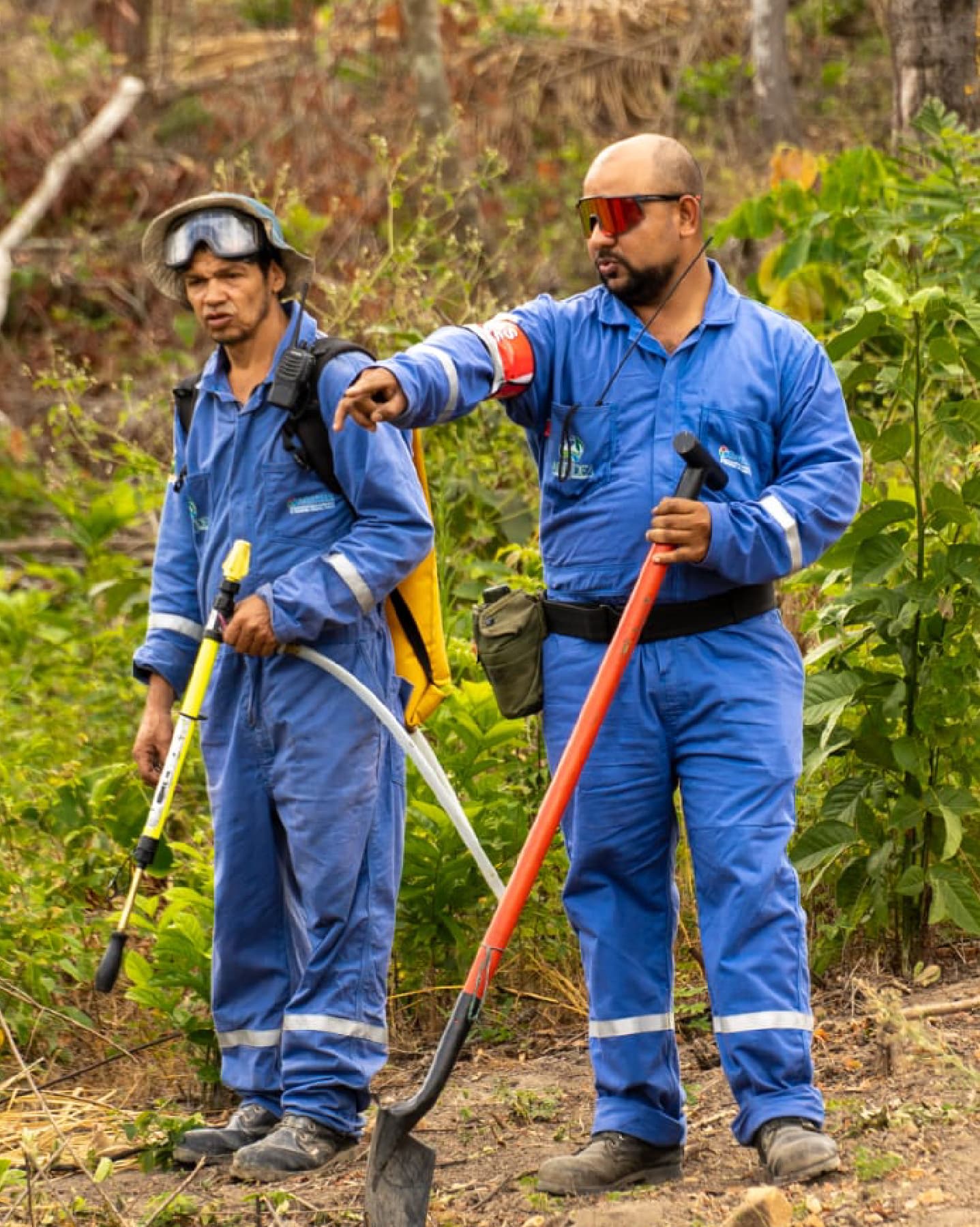 Workers during a reforestation day
